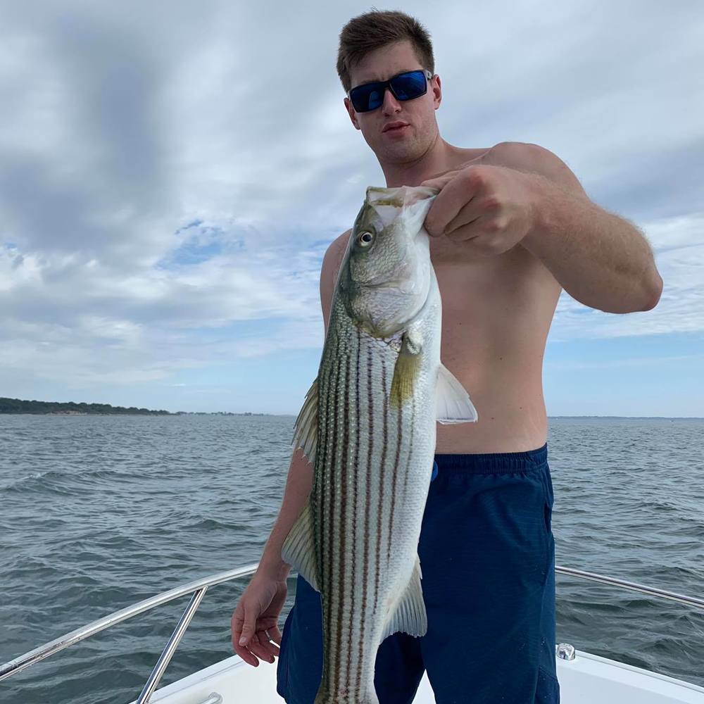 Meet your Posher, Thomas